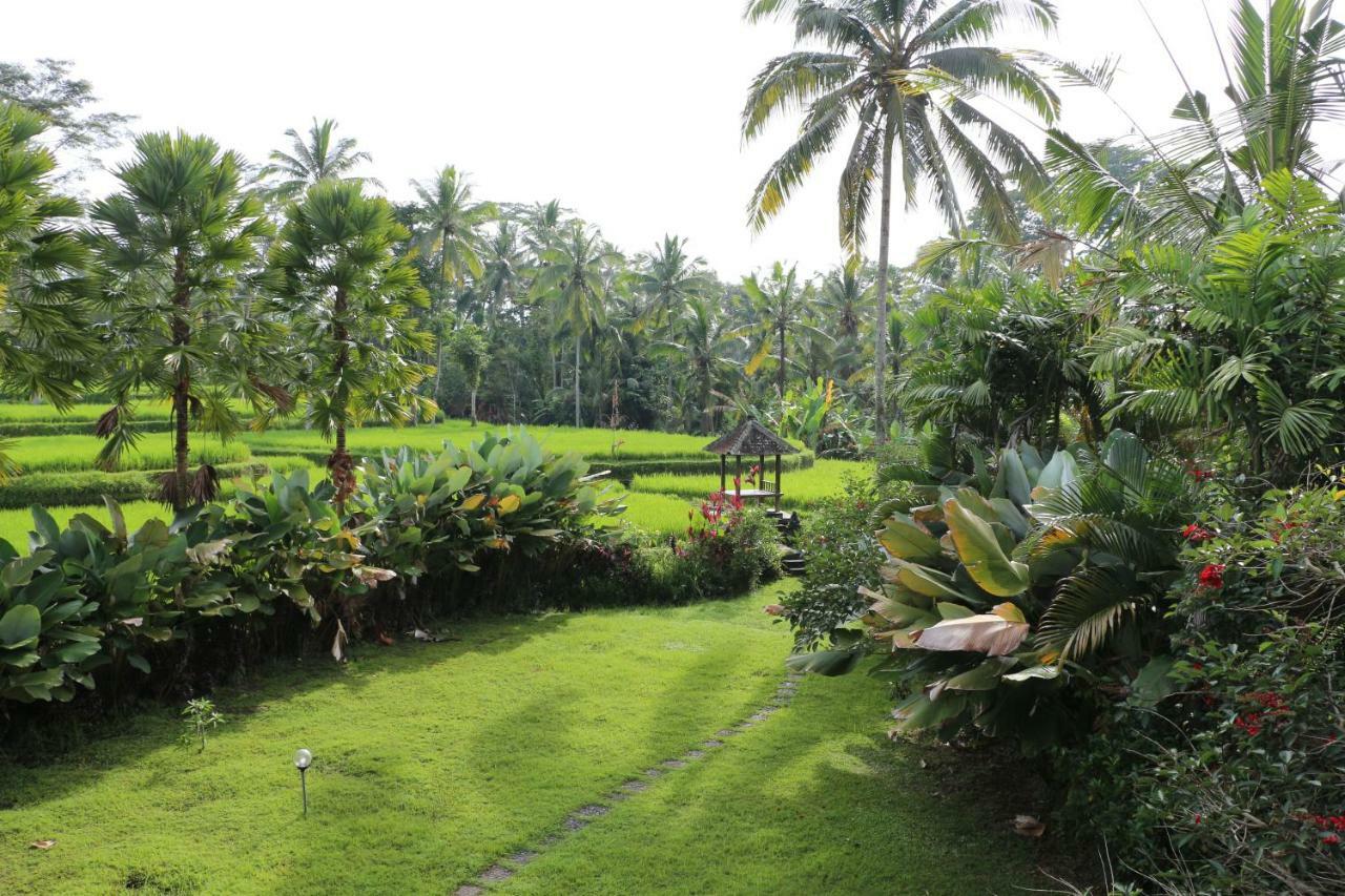 The Alise Villa تيغالالانغْ المظهر الخارجي الصورة